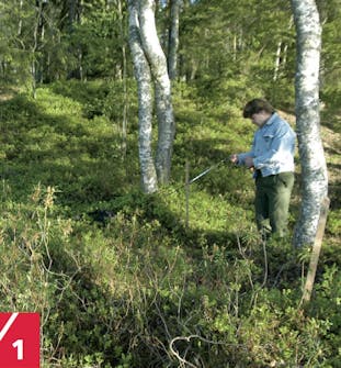 Stolpesko i fjell Stolpesko i fjell